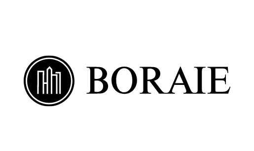 Boraie logo featuring a circular building icon beside the company name in bold serif text